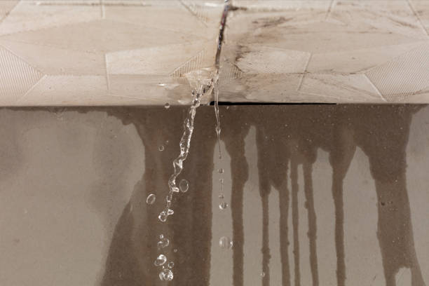 Professional Flood Damage Cleanup technician working in La Palma, CA